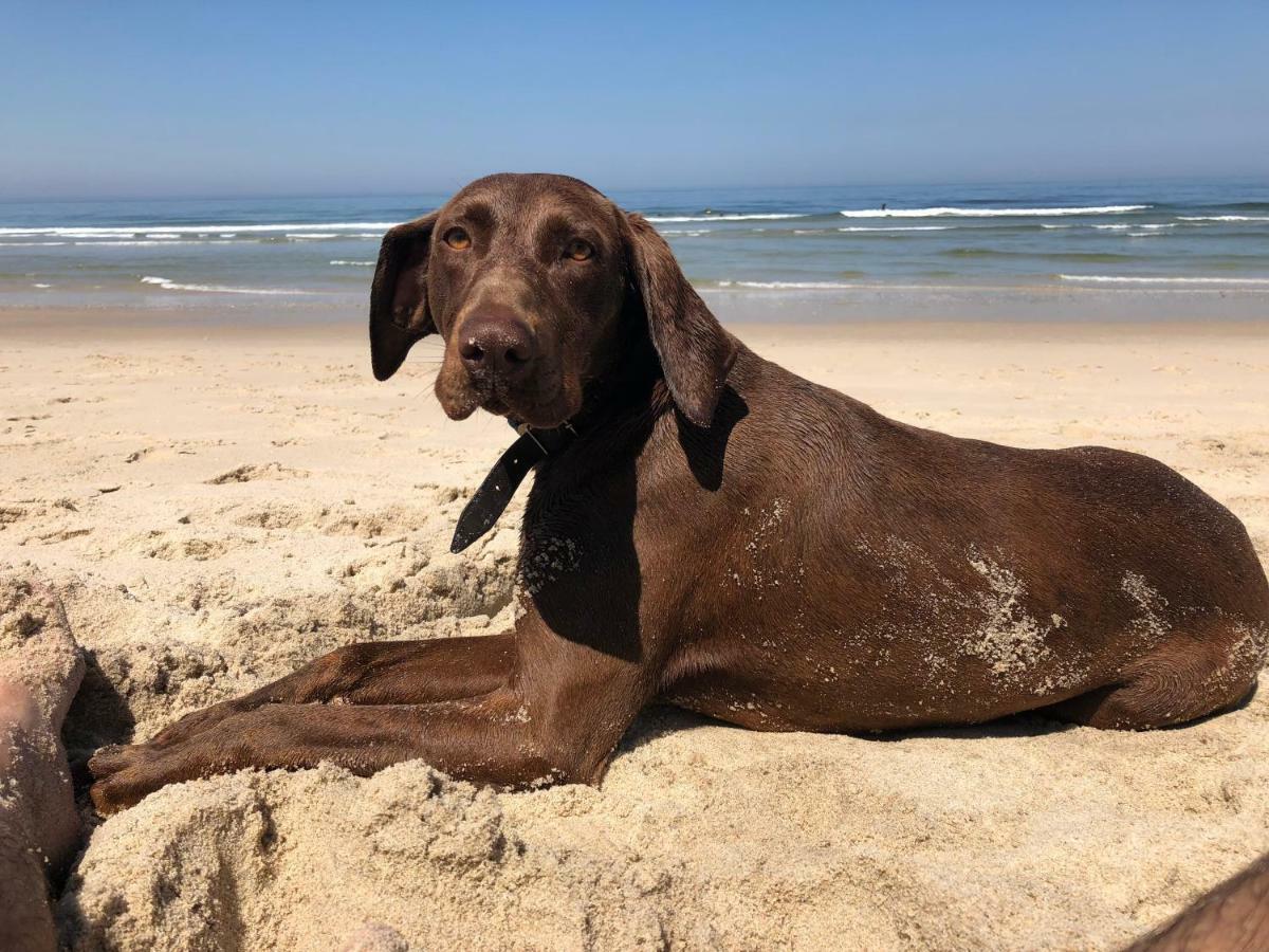 Beachliving Cortegaca Eksteriør bilde