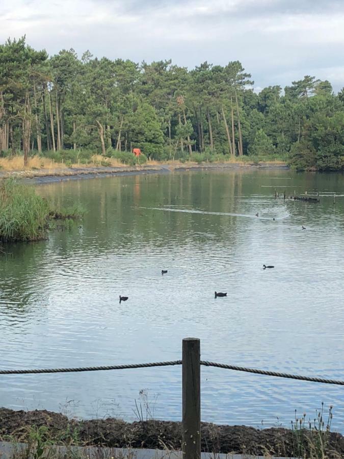 Beachliving Cortegaca Eksteriør bilde